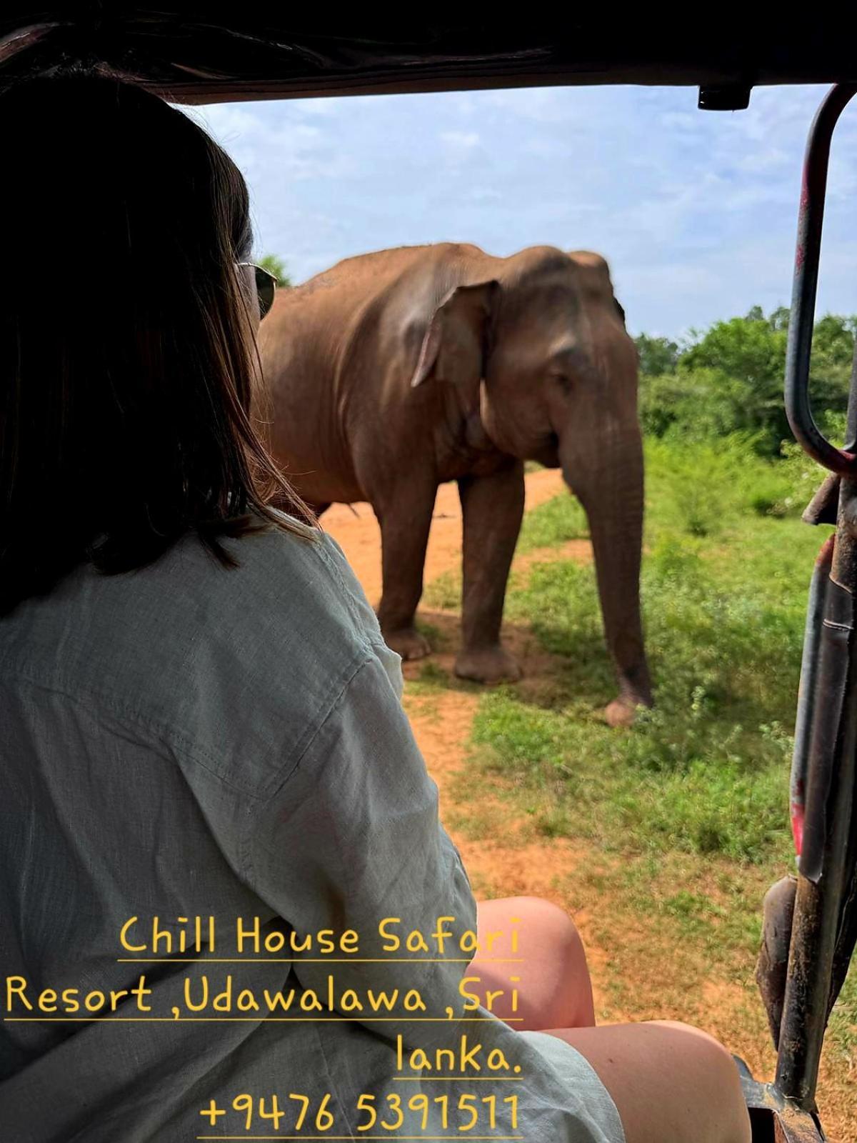 Chill House Safari Resort Udawalawe Eksteriør billede